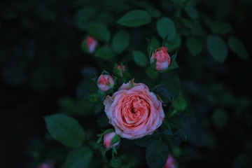 26A470CD-D674-4AEB-AFD8-0B7460288FB0/L0/001