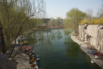 DSC00531.JPG
