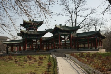 DSC00495.JPG