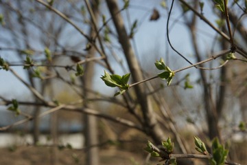 DSC00572.JPG