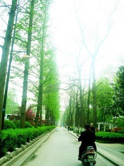 DSC08649_副本.jpg