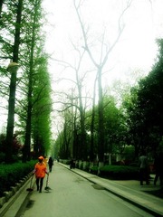 DSC08651_副本.jpg