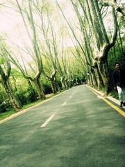 DSC08775_副本_副本.jpg