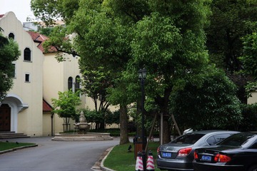 DSC02274.jpg