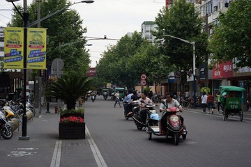 chongming4.jpg