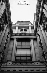 IMG_4419-2