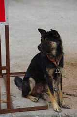 IMGP3931.jpg