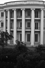 IMGP4140.jpg