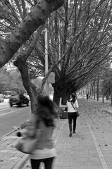 IMGP5587.jpg