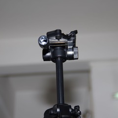 IMGP5769.jpg