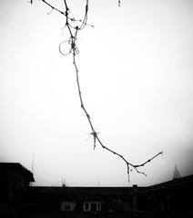120116212796aa93dd4cb25712.jpg
