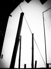 1201162126189e5a2802e8f6a6.jpg