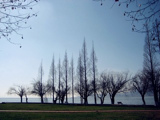img_4770_副本.jpg