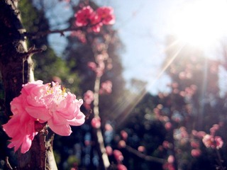 img_4975_副本.jpg