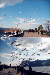 海埂.jpg