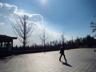 IMG_0902.jpg