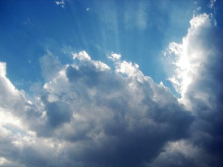 IMG_1199.jpg