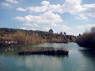 2 010.jpg