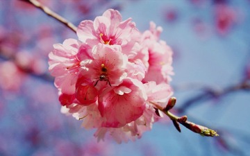 IMG_5265_