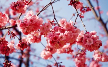 IMG_5407_