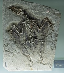 8573