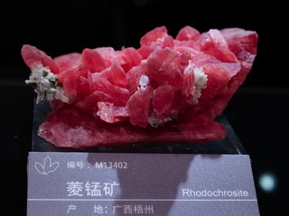 7698