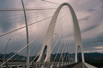 2443669