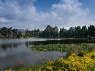 18771