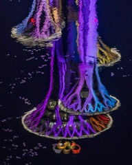 51481