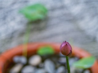 1170729