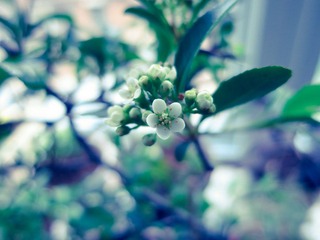 IMG_0714-2-2.jpg