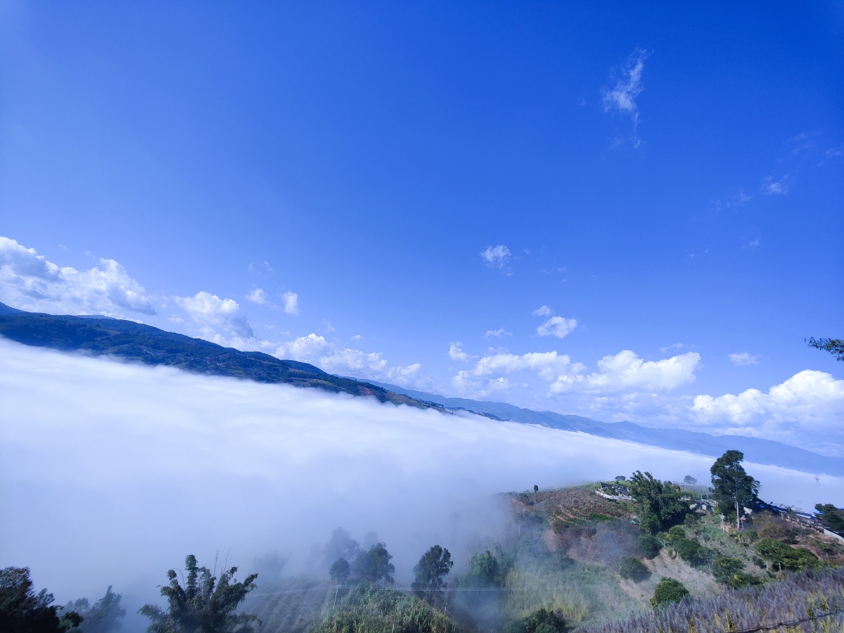 77心存善良万物晴朗282266666678