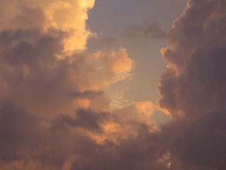 4921783C-4E17-423E-A35D-8795307BF085/L0/001