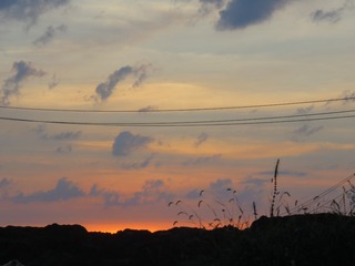 8D0FE88D-C4A4-44C6-9A47-32E435EBD561/L0/001