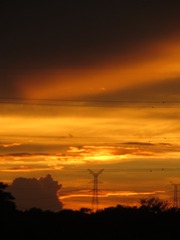 BF7D5AD8-4F45-419C-A260-3E32167A7459/L0/001