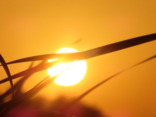 274F6171-2600-4C72-9240-BC555A1F9D07/L0/001
