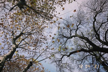 67318343-BAAD-4D76-A0ED-3F7B89E8EE4E/L0/001