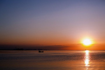 IMG_0494.jpg