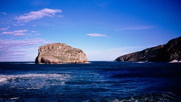 F1000019