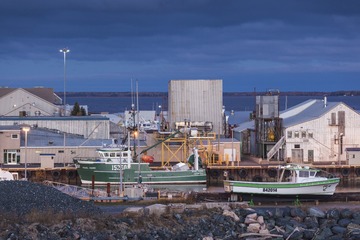 931658