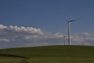 _MG_8480.jpg