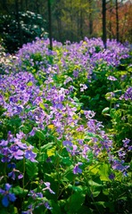 DSC06457-编辑.jpg