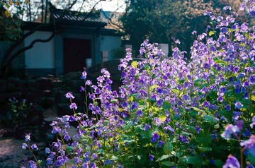 DSC06481-编辑.jpg
