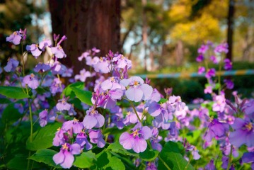 DSC06475-编辑.jpg