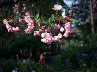 DSC06541.jpg