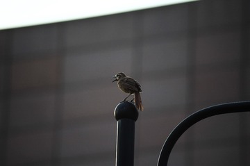 190565