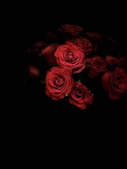 AE933D79-9EFD-41EF-B83D-B16B31876191/L0/001