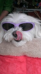 1047