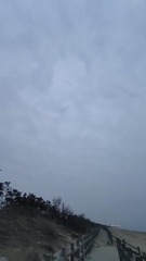 1000007779