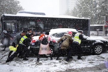 雪中情